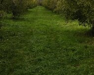 Quba ş., Torpaq , 1 otaq