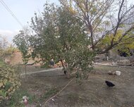 Xırdalan ş., Torpaq , 6 otaq