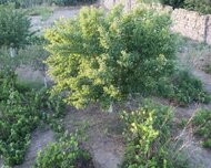 Sabunçu rayonu , Nardaran qəs., 1 otaq