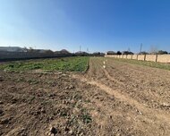 Sabunçu rayonu , Maştağa qəs., 36 sot