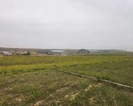 Abşeron rayonu , Masazır qəs., 1 otaq