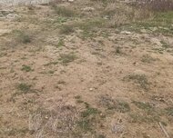 Sabunçu rayonu , Nardaran qəs., 12 sot