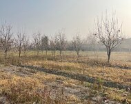 Göyçay ş., Torpaq , 64 sot