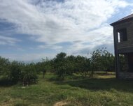 Xudat ş., Həyət evi / Villa , 3 otaq