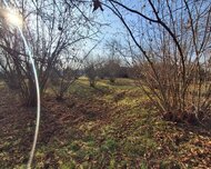 Qəbələ ş., Torpaq , 8 sot