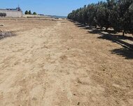 Xəzər rayonu , Dübəndi qəs., 80 sot