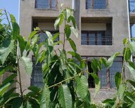 Quba ş., Həyət evi / Villa , 6 otaq