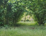 Qəbələ ş., Torpaq , 12 sot