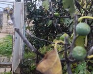 Sabunçu rayonu , Maştağa qəs., 3 otaq