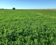 Göyçay ş., Torpaq , 326 sot