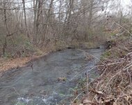 Qəbələ ş., Torpaq , 259 sot