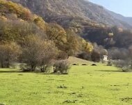 Oğuz ş., Torpaq , 1 otaq