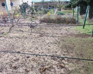 Sabunçu rayonu , Bilgəh qəs., 6 sot