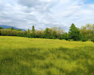 Qəbələ ş., Torpaq , 114 sot