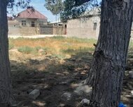 Sabunçu rayonu , Ramana qəs., 5 sot