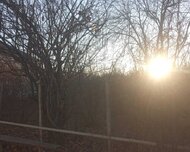 Digər rayon ş., Torpaq , 8 sot