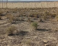 Abşeron rayonu , Masazır qəs., 1 otaq