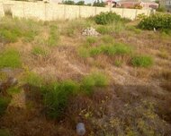 Sabunçu rayonu , Nardaran qəs., 1 otaq