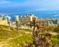 Səbail rayonu , Bayıl qəs., 10 sot