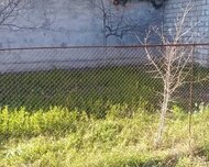 Sabunçu rayonu , Maştağa qəs., 6 sot