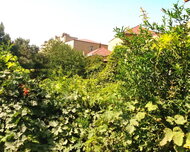 Binəqədi rayonu , 6-cı mikrorayon qəs., 1 otaq