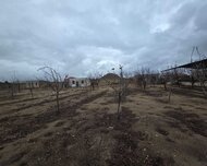 Xəzər rayonu , Qala qəs., 12 sot