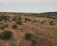 Abşeron rayonu , Masazır qəs., 250 sot