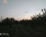 Xaçmaz ş., Torpaq , 100 sot