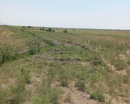 Hacıqabul ş., Torpaq , 1428 sot