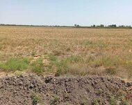 Kürdəmir ş., Torpaq , 351 sot