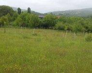 İsmayıllı ş., Torpaq , 50 sot