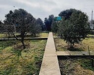 Xəzər rayonu , Buzovna qəs., 25 sot