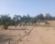 Xəzər rayonu , Zirə qəs., 4 otaq