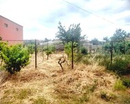 Xəzər rayonu , Buzovna qəs., 6 sot