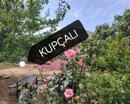 Abşeron rayonu , Saray qəs., 4 otaq