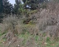 Səbail rayonu , Badamdar qəs., 9 sot