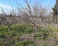 Sabunçu rayonu , Nardaran qəs., 10 sot