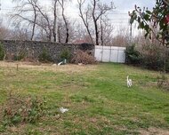 Zaqatala ş., Torpaq , 3 otaq