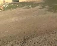 Abşeron rayonu , 10 sot