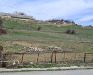 Şamaxı ş., Torpaq , 24 sot