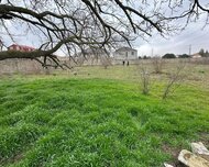 Xəzər rayonu , Buzovna qəs., 26 sot