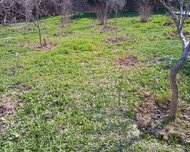 Səbail rayonu , Badamdar qəs., 3 sot