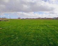 Xəzər rayonu , Buzovna qəs., 120 sot