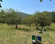 Şəki ş., Torpaq , 28 sot