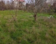 Lənkəran ş., Torpaq , 6 otaq