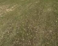 Lənkəran ş., Torpaq , 5 sot