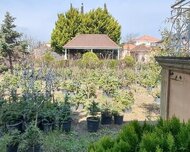 Xəzər rayonu , Buzovna qəs., 11 sot