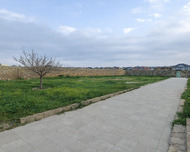 Abşeron rayonu , Görədil qəs., 8 sot