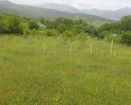 İsmayıllı ş., Torpaq , 50 sot