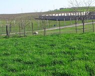 Qusar ş., Torpaq , 12 sot